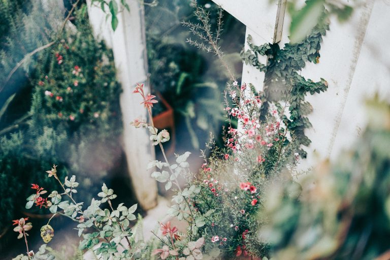 pexels-phamnghia-12622293
